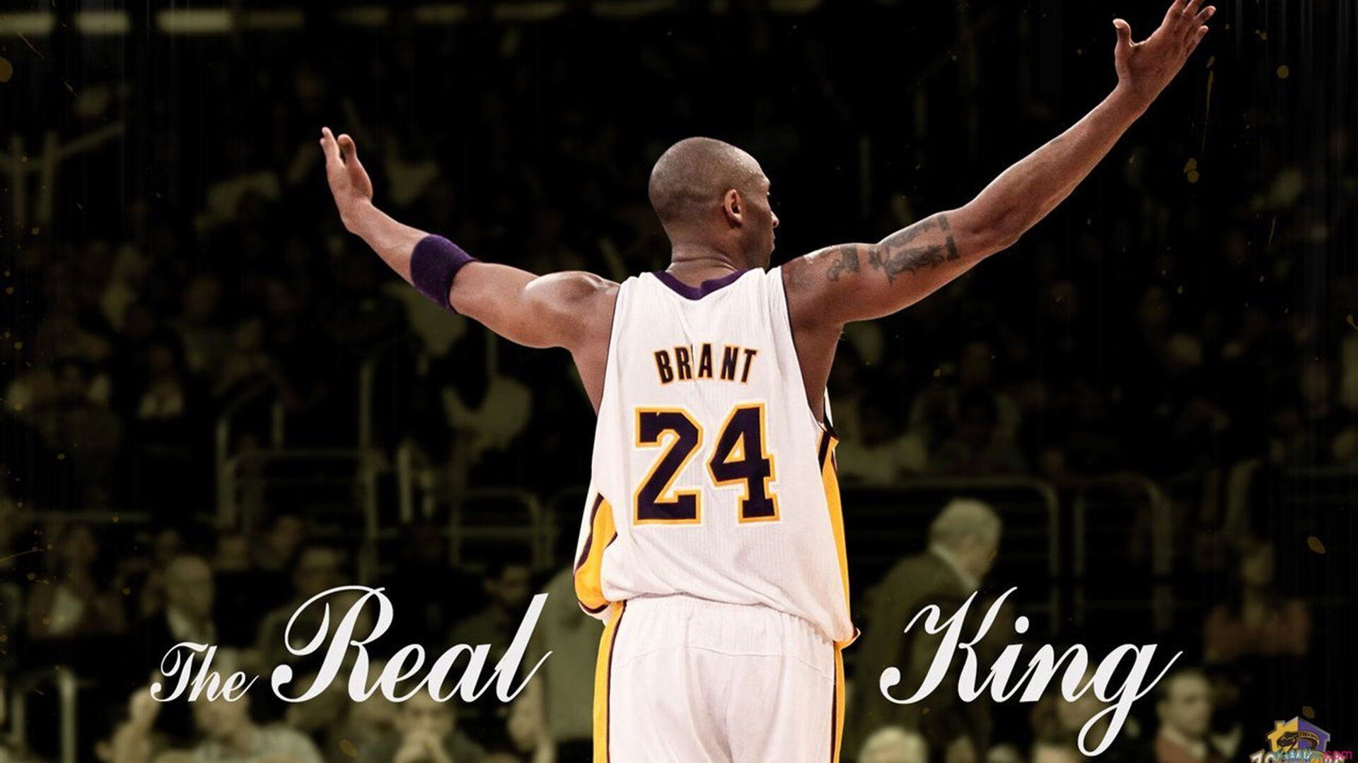 新援快速融入体系与队友默契配合展现极强适应能力，新援是什么意思